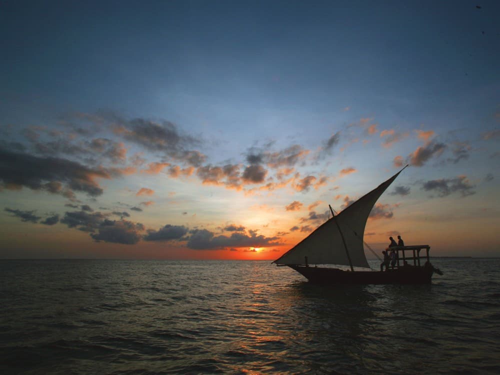 Zanzibar: From Stone Town Sunset Dhow Cruise | ®ExcursionMania - Image 7