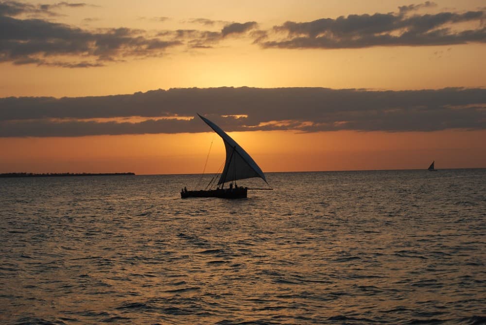 Zanzibar: From Stone Town Sunset Dhow Cruise | ®ExcursionMania - Image 9