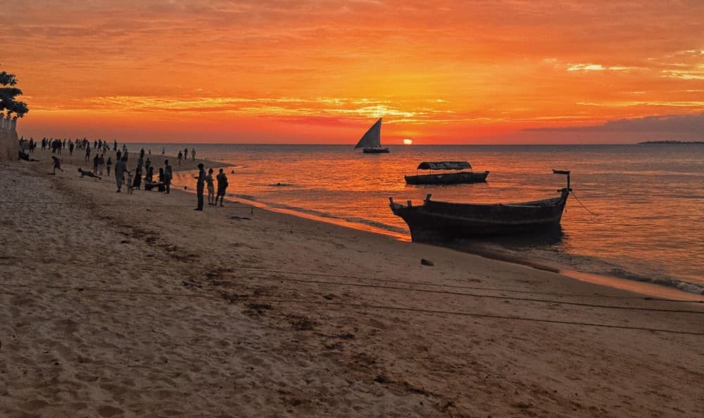 Zanzibar: From Stone Town Sunset Dhow Cruise | ®ExcursionMania - Image 10