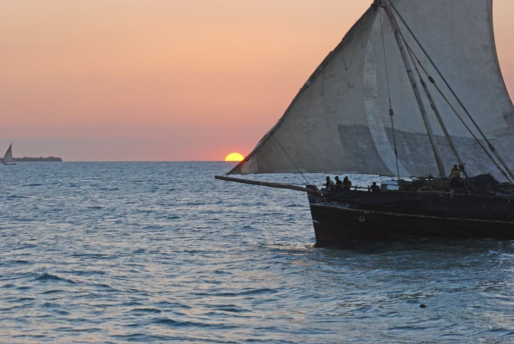 Zanzibar: From Stone Town Sunset Dhow Cruise | ®ExcursionMania - Image 11