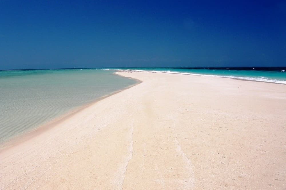 Zanzibar: Stone town and Nakupenda Sandbank Tour with Lunch | ®ExcursionMania - Image 2