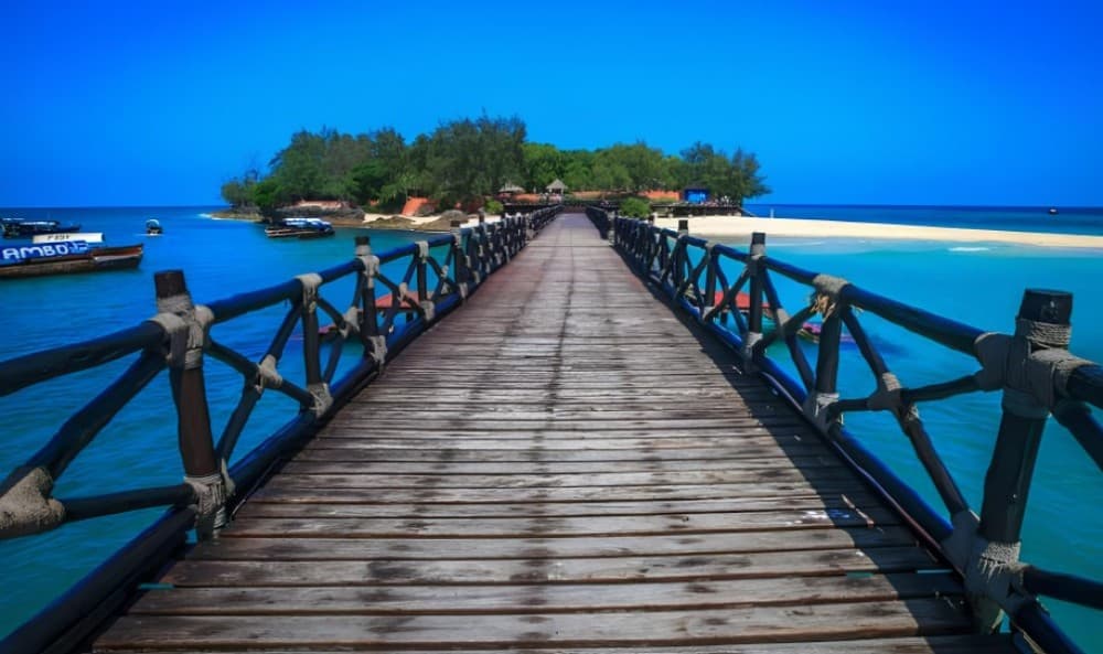 From Uroa/Kiwengwa: Prison Island & Nakupenda Sandbank Tour | ®ExcursionMania - Image 1