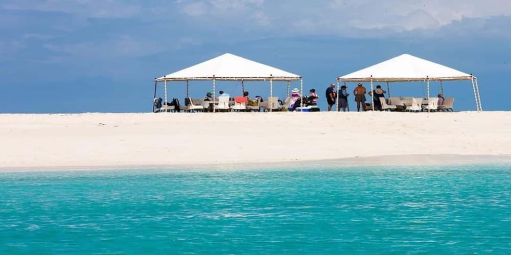 From Jambian/Paje: Prison Island and Nakupenda Sandbank Tour | ®ExcursionMania - Image 5