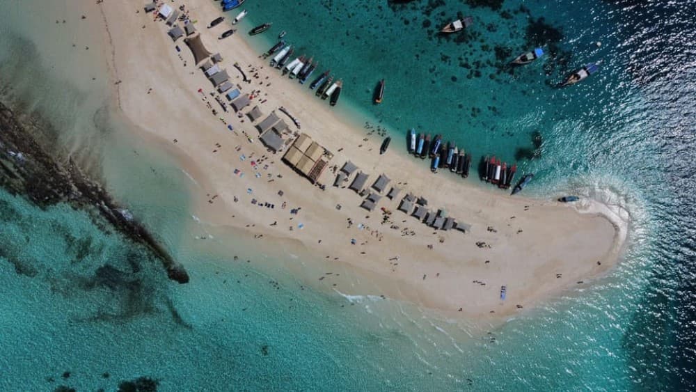 From Jambian/Paje: Prison Island and Nakupenda Sandbank Tour | ®ExcursionMania - Image 6
