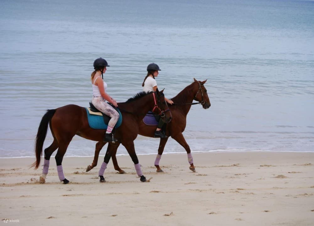 Horseback Riding in Boavista for Beginners | ®ExcursionMania - Image 2