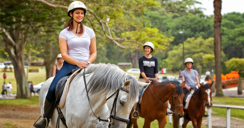 Horseback Riding in Boavista for Beginners | ®ExcursionMania - Image 5