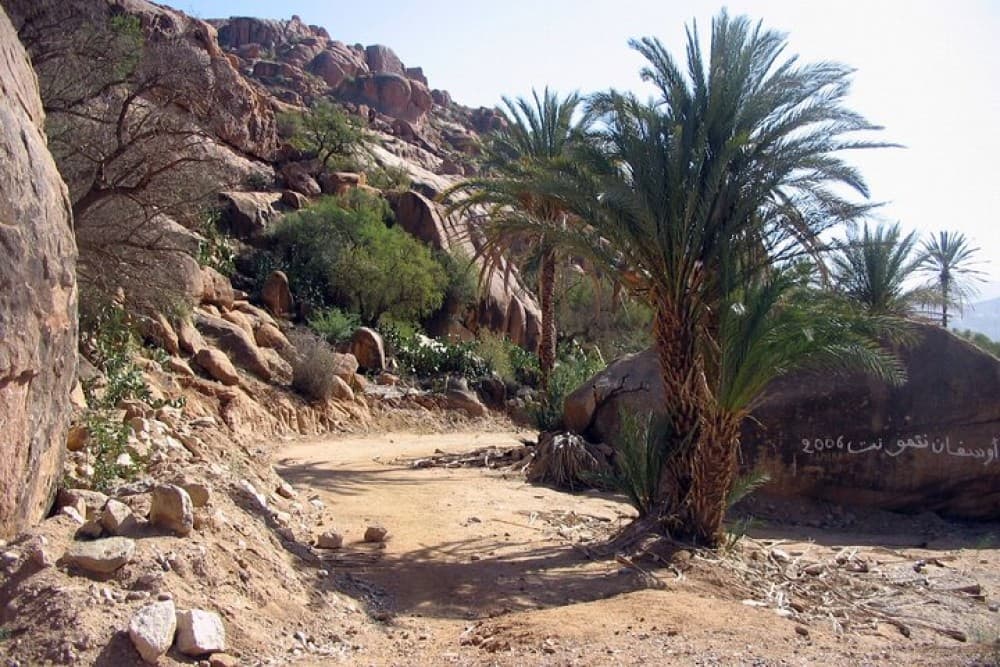 Agadir Day Trip To Tafraoute | ®ExcursionMania - Image 5