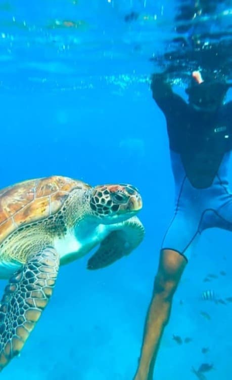 São Pedro Snorkel and Swim with Sea Turtles | ®ExcursionMania - Image 2