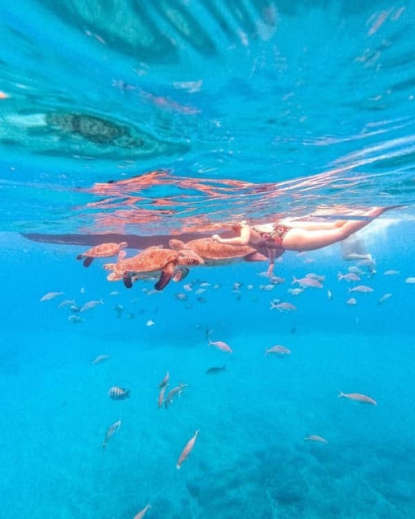 São Pedro Snorkel and Swim with Sea Turtles | ®ExcursionMania - Image 3