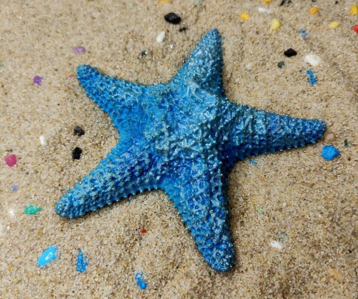 Zanzibar: Starfish, Blue Lagoon, and The Rock Restaurant | ®ExcursionMania - Image 6