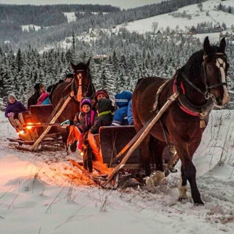 Zakopane: Horse-Drawn Rides with Local Guide & Food Tasting | ®ExcursionMania - Image 6