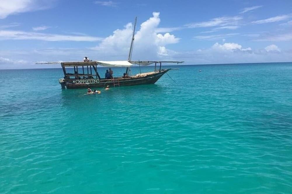From Nungwi : Mnemba Boat Trip and Dolphin Snorkel Adventure | ®ExcursionMania - Image 2