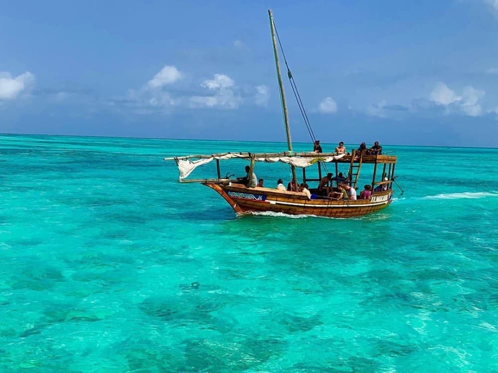 Zanzibar: Mnemba Boat Trip Dolphins Adventure trip | ®ExcursionMania - Image 6