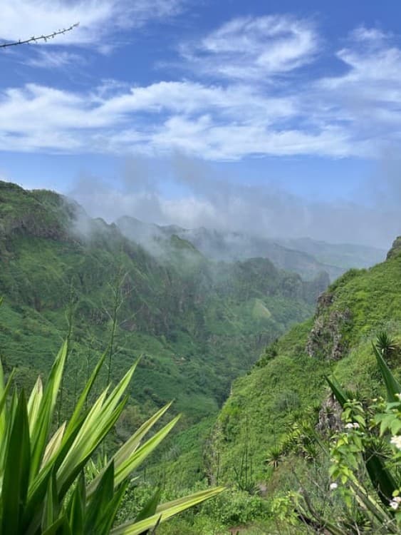 Hike Serra Malagueta / Silver beach | ®ExcursionMania - Image 6