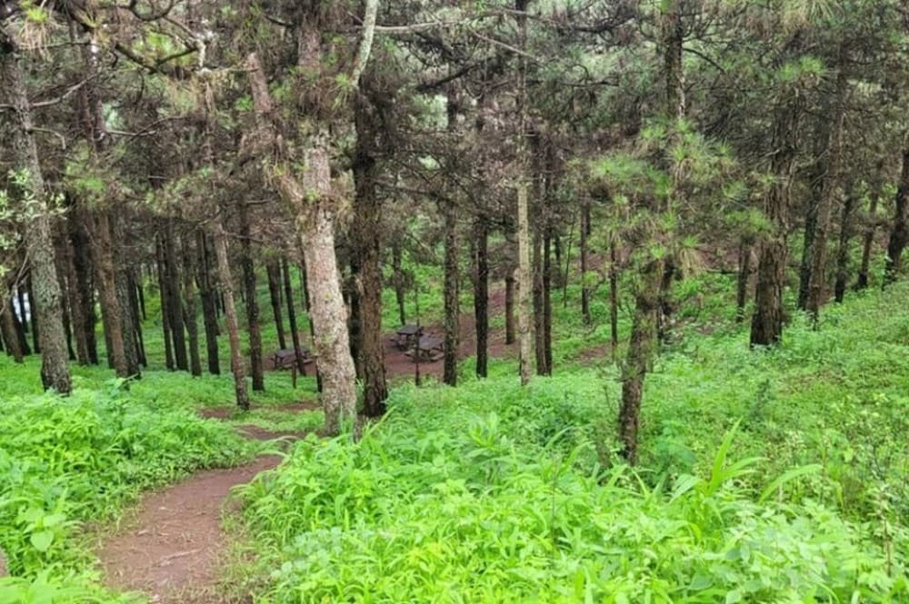 Hike Serra Malagueta / Silver beach | ®ExcursionMania - Image 10