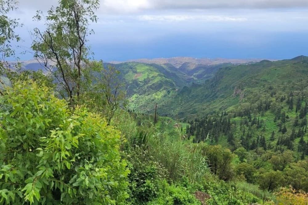 Hike Serra Malagueta / Silver beach | ®ExcursionMania - Image 12