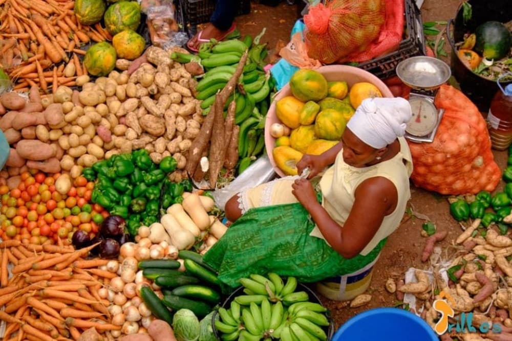 From Praia: Santiago Highlights Private Sightseeing Day Trip | ®ExcursionMania - Image 5