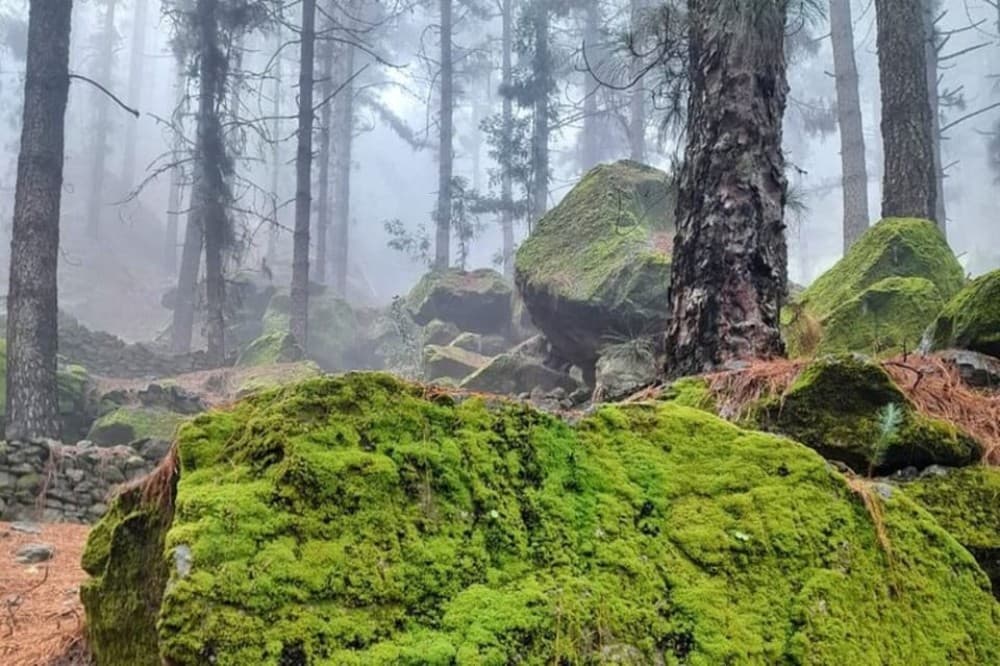 Discover Santo Antão in 1-Day Trip | ®ExcursionMania - Image 6