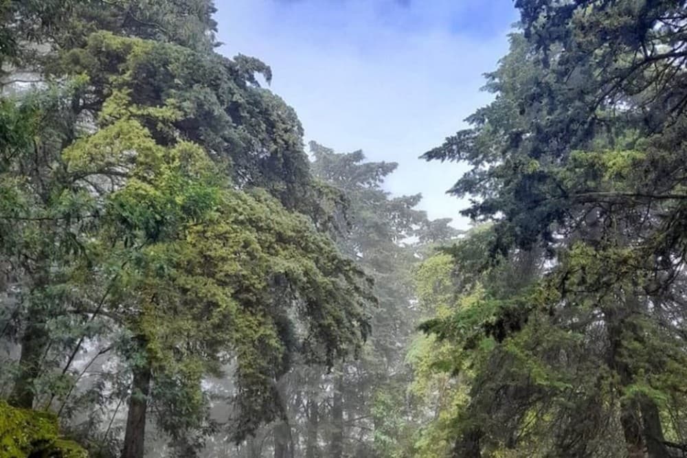 Discover Santo Antão in 1-Day Trip | ®ExcursionMania - Image 8