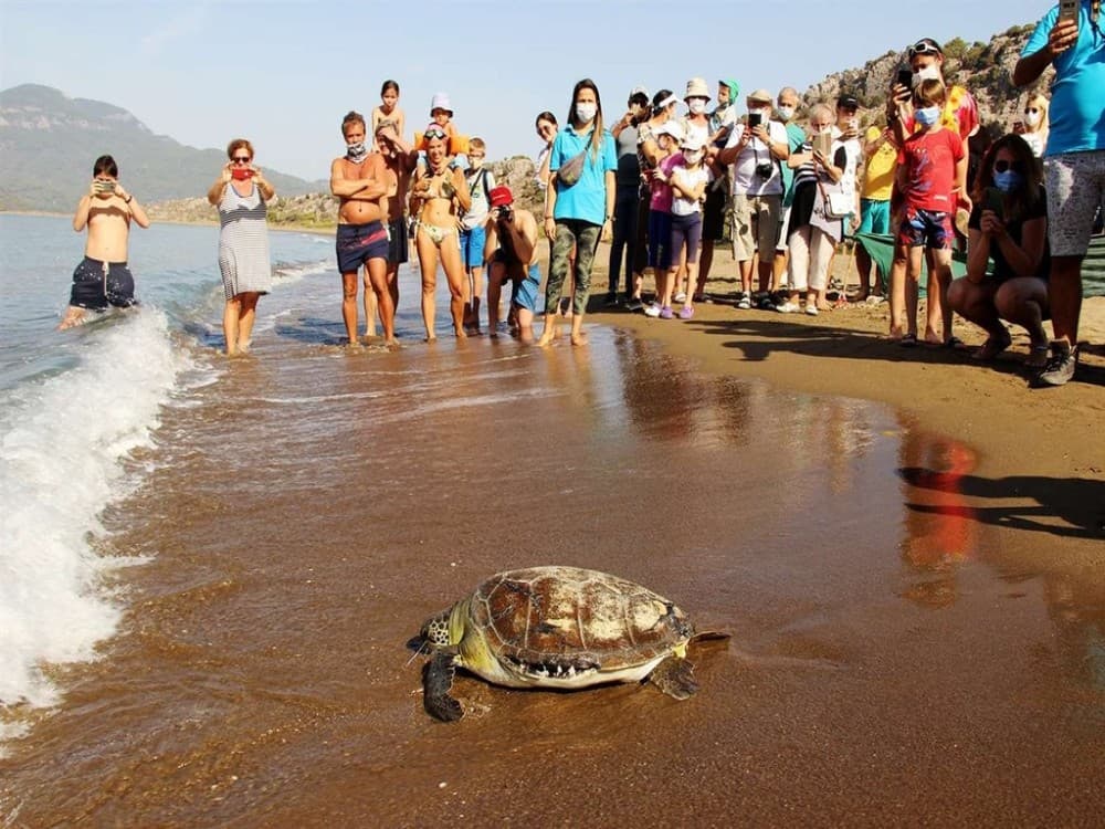 From Fethiye: Dalyan Mud Baths and Turtle Beach Day Tour | ®ExcursionMania - Image 2