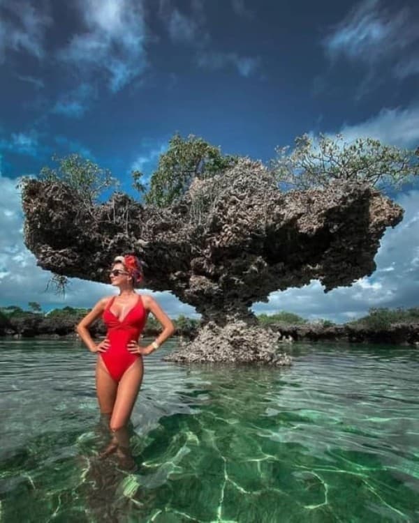 Zanzibar: safari blue adventure | ®ExcursionMania - Image 8