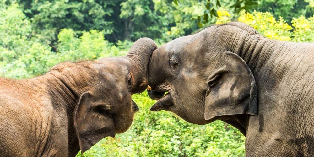 Krakow: Zoo with Hotel Pickup | ®ExcursionMania - Image 1