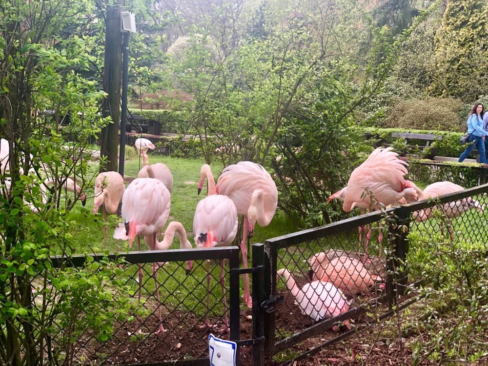 Krakow: Zoo with Hotel Pickup | ®ExcursionMania - Image 3