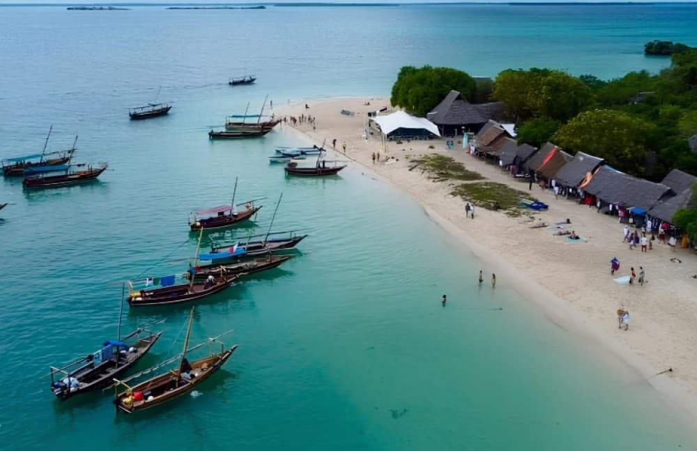 Zanzibar: Safari Blue Snorkeling with Lunch | ®ExcursionMania - Image 2