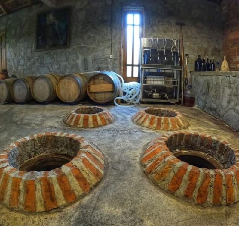 Batumi: Exploring Botanical Garden Family Wine Tasting | ®ExcursionMania - Image 1