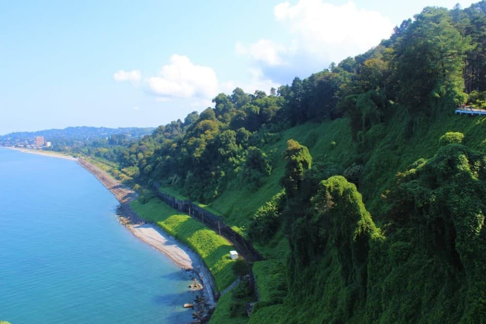 Batumi: Exploring Botanical Garden Family Wine Tasting | ®ExcursionMania - Image 2