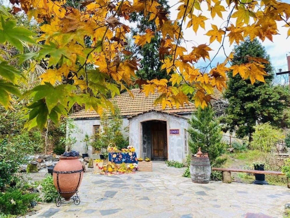 Batumi: Exploring Botanical Garden Family Wine Tasting | ®ExcursionMania - Image 5