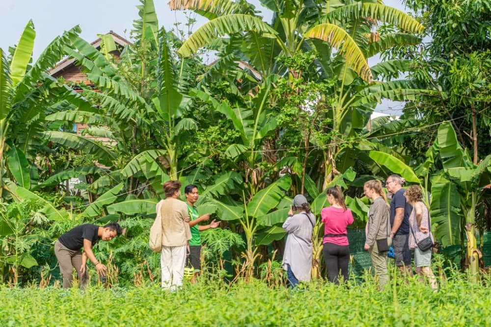 Siem Reap: Countryside Sunset Bike Ride | ®ExcursionMania - Image 1