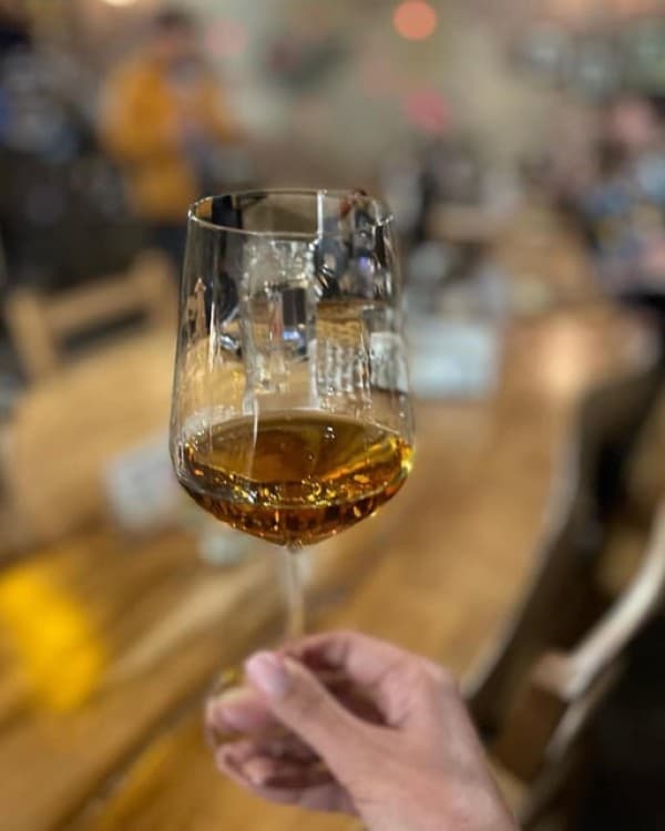 Georgian Wine Tasting at Local Cellar in Batumi | ®ExcursionMania - Image 4