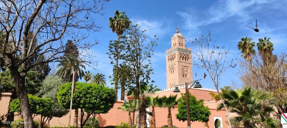 Marrakech 3-Hour Walking Tour | ®ExcursionMania - Image 3