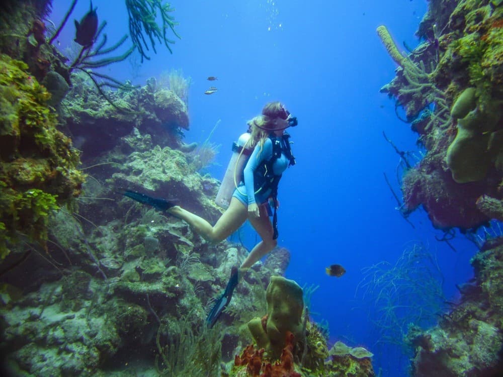 Kusadasi Diving Experience & Hotel Transfer w/ Lunch | ®ExcursionMania - Image 3