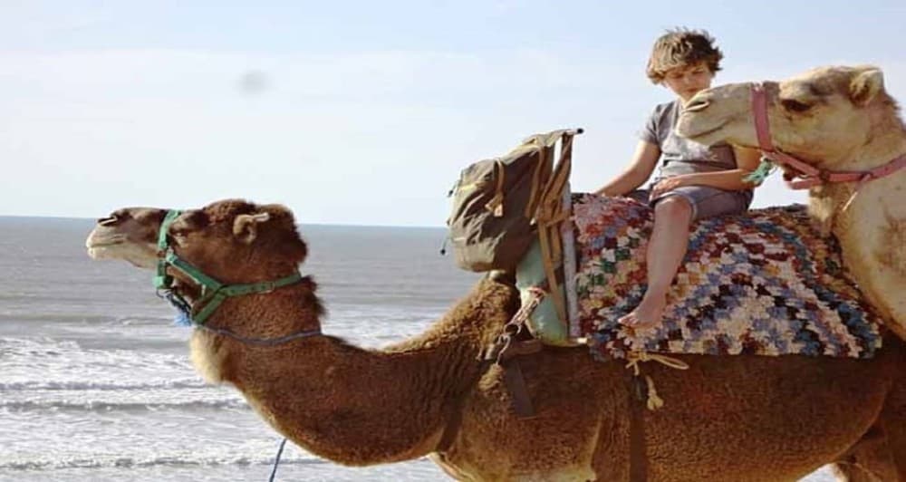 Essaouira: 2-Hour Camel Ride | ®ExcursionMania - Image 9