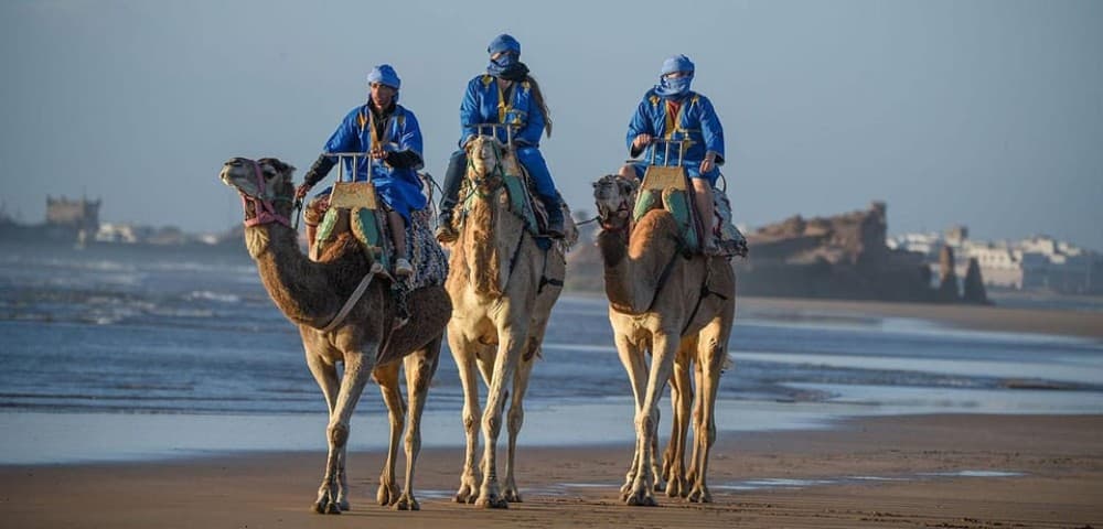 Essaouira: 2-Hour Camel Ride