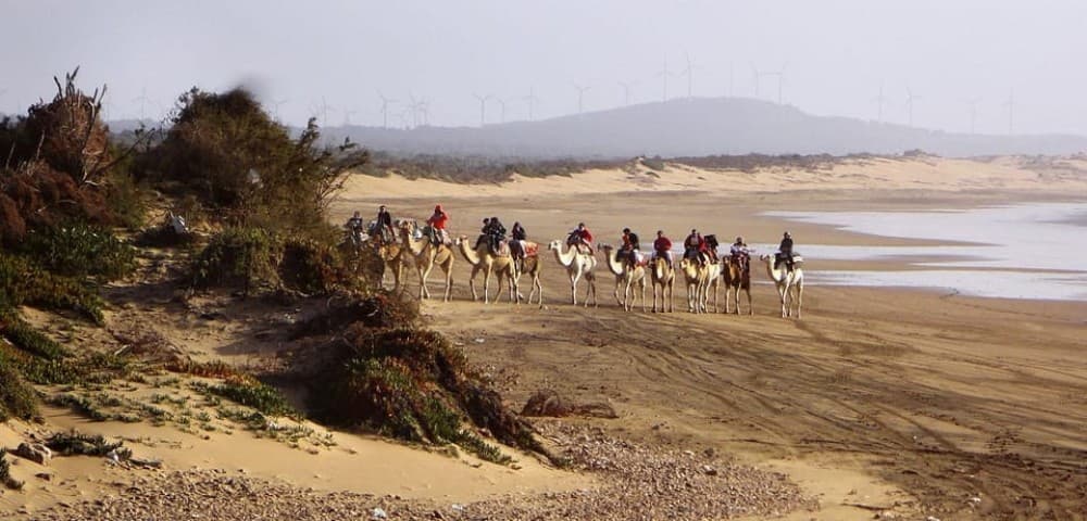 Essaouira: 2-Hour Camel Ride | ®ExcursionMania - Image 3