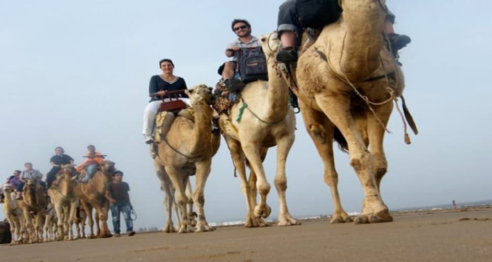 Essaouira: 2-Hour Camel Ride | ®ExcursionMania - Image 10