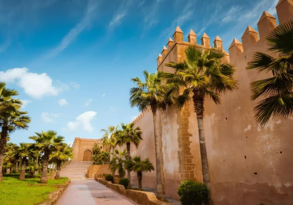 Rabat full-day Trip From Casablanca Guided Tour | ®ExcursionMania - Image 5