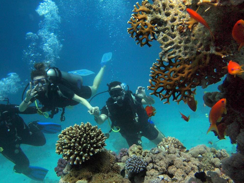 Icmeler Full Day Scuba Diving With Lunch & Hotel Transfer | ®ExcursionMania - Image 3