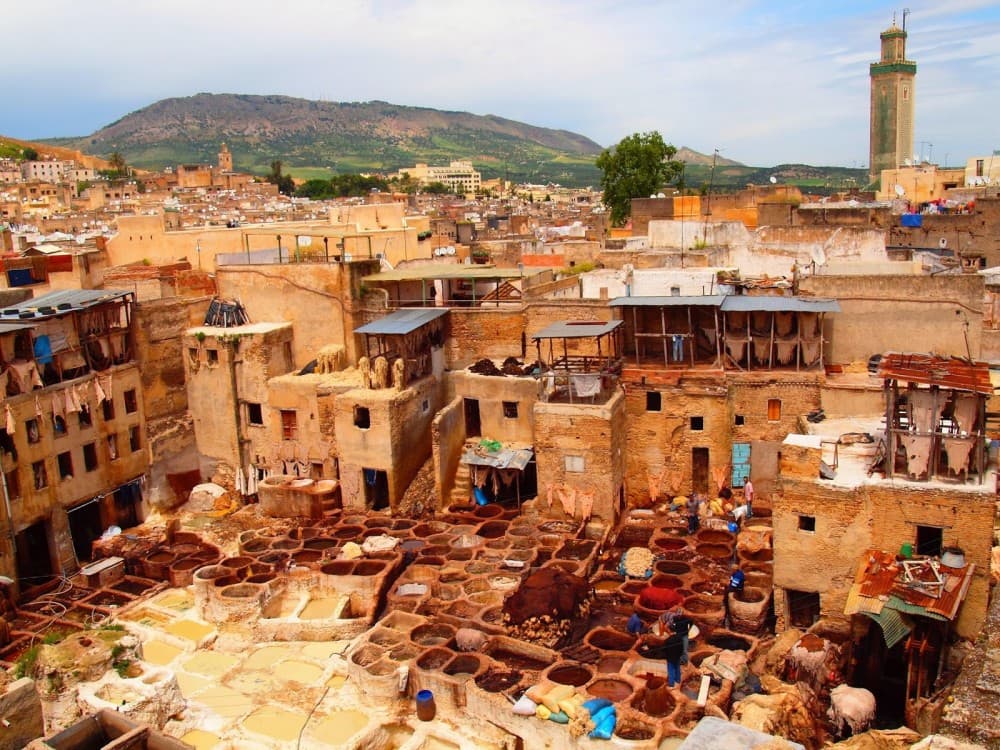 Explore Fez: Landmarks, Medina & Local Lunch from Casablanca | ®ExcursionMania - Image 6