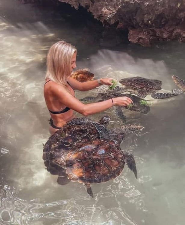 Mnemba island &Nungwi Aquarium & Sunset at kendwa full day | ®ExcursionMania - Image 6