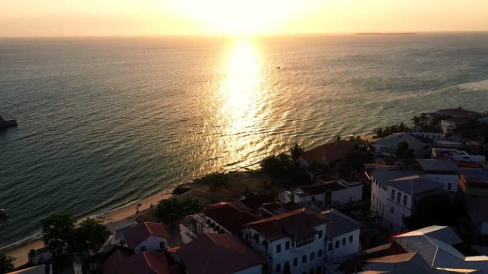 Mnemba island &Nungwi Aquarium & Sunset at kendwa full day | ®ExcursionMania - Image 7