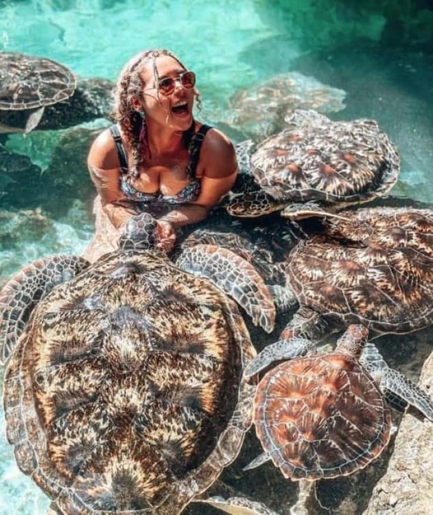 Mnemba island &Nungwi Aquarium & Sunset at kendwa full day | ®ExcursionMania - Image 3