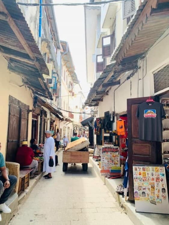 Zanzibar: Stone town walking tour Prison Island and spice | ®ExcursionMania - Image 3