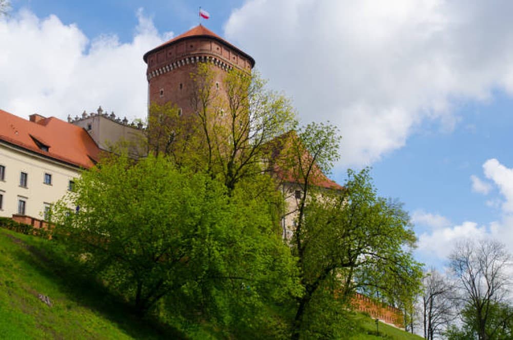 Krakow Wawel Hill, St Marys Church & Underground Museum | ®ExcursionMania - Image 4