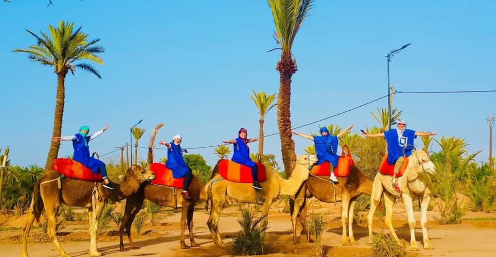 Camel Ride Palmeraie Marrakech Round Trip | ®ExcursionMania - Image 2