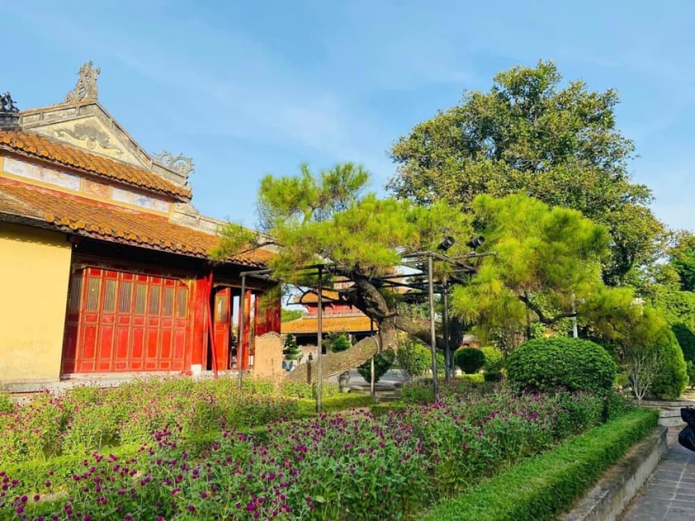 Hue Walking Tour To Imperial City and Dong Ba Market | ®ExcursionMania - Image 4