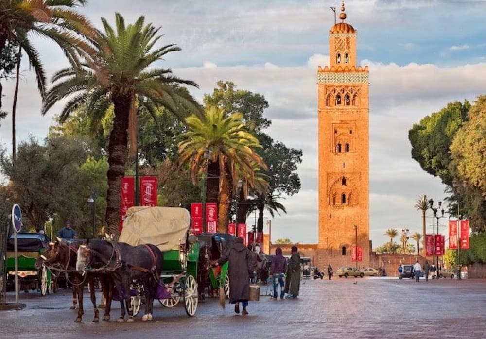 Marrakech Day Trip from Casablanca | ®ExcursionMania - Image 4